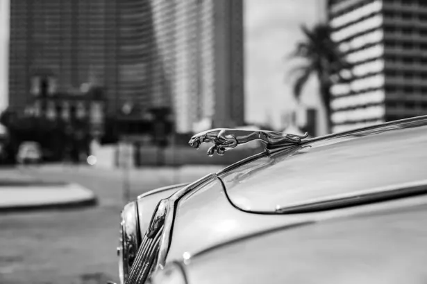 BetRegal Kasyno Aplikacja Android/iOS